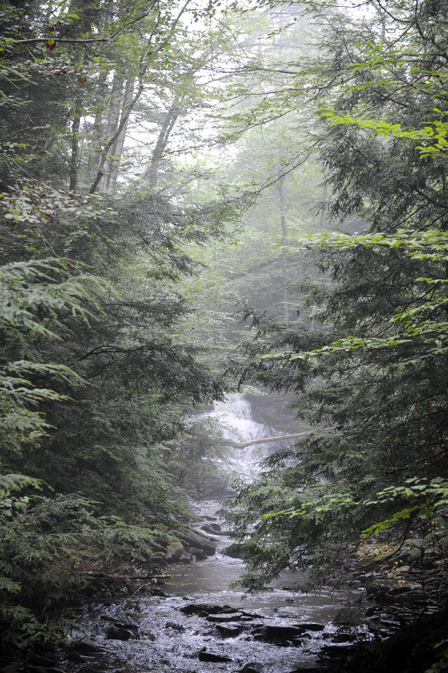 Ricketts Glen State Park