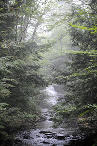 Ricketts Glen State Park