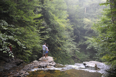 Ricketts Glen State Park