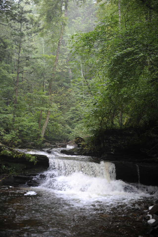 Ricketts Glen State Park