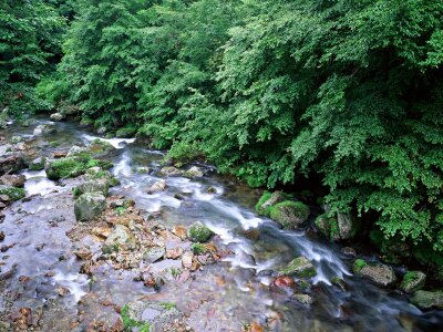 Stones and mountain river with small waterfall,