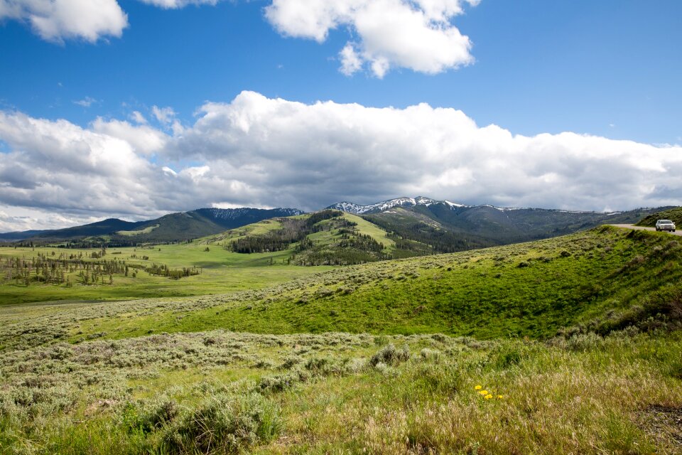Mount Washburn Trail, Yellowstone National Park