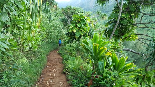 Coastline on the Kalalau trail in Kauai, state of Hawaii