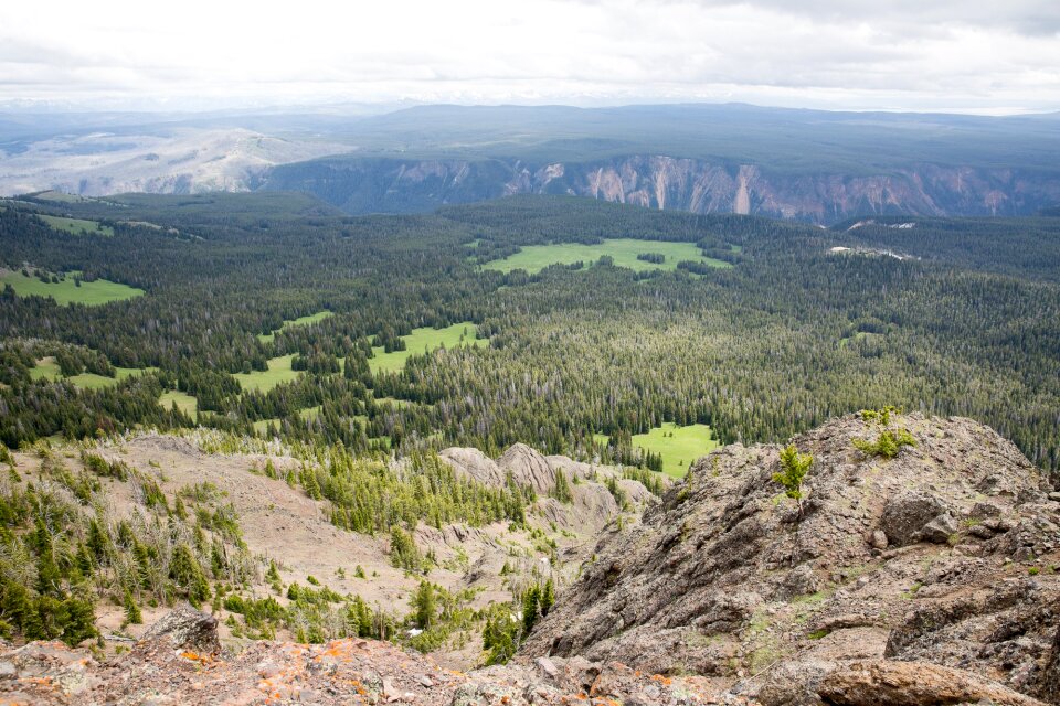 Mount Washburn, Yellowstone National Park