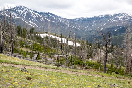 Mount Washburn, Yellowstone National Park