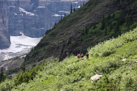 Plain of Six Glaciers Trail, Lake Louise, Banff National Park