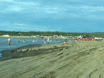Seward Harbor, Alaska