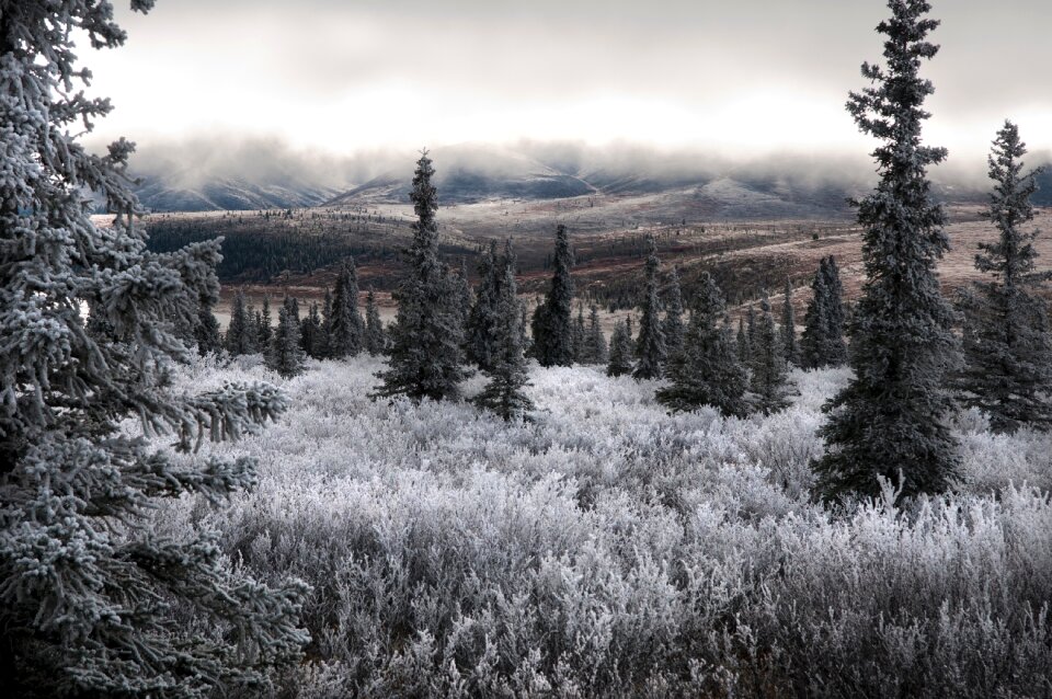 Alaska Range - Denali National Park