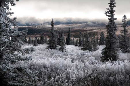 Alaska Range - Denali National Park photo