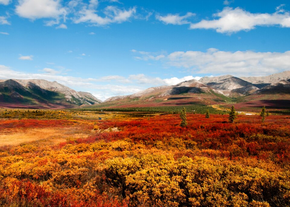 Fall in the Alaska Range