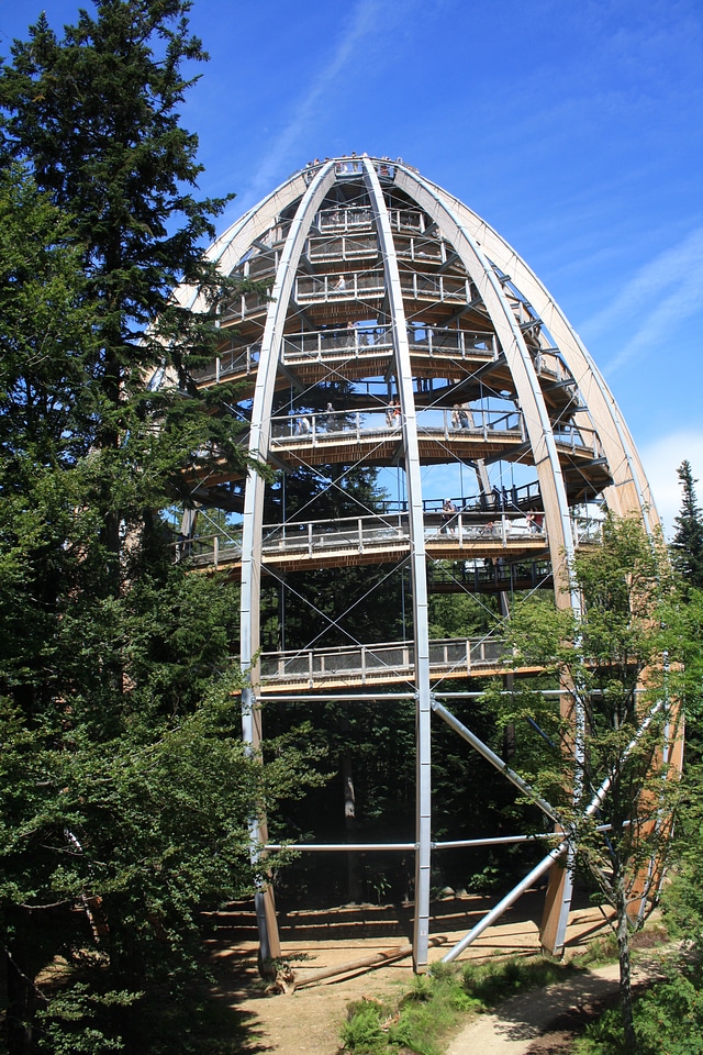 Nature trail wooden construction observation tower