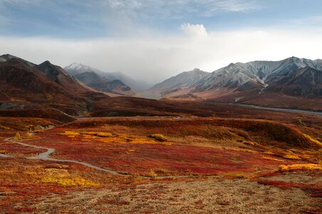 Thorofare, Fall - Denali National Park photo