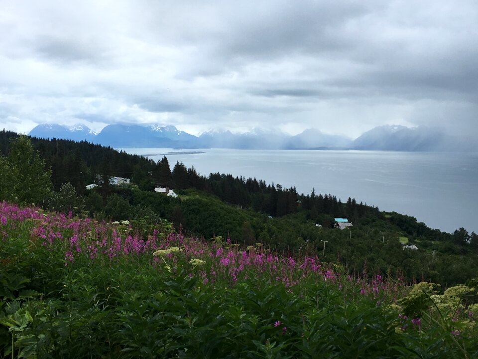 Seward Harbor, Alaska