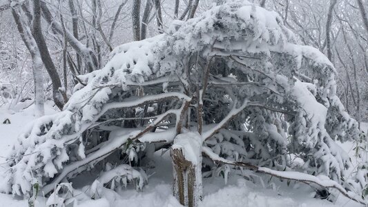 Deogyusan mountains is covered by snow in winter,South Korea