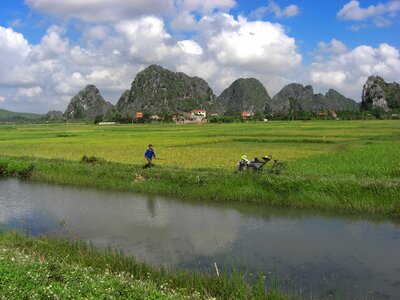 Rice field and river, NinhBinh, vietnam landscapes photo