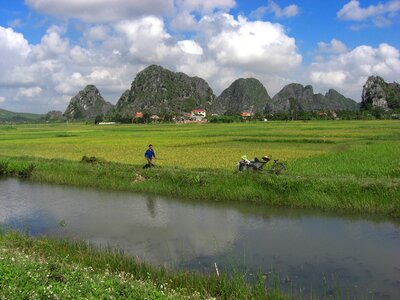 Rice field and river, NinhBinh, vietnam landscapes