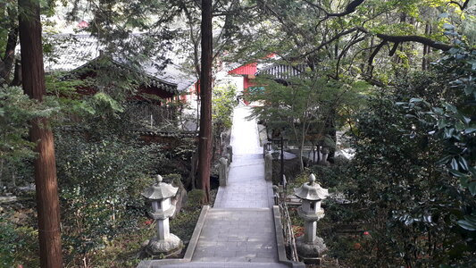 Ssanggyesa Temple, Hadong South Korea