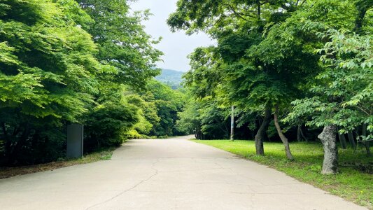 UNESCO World Heritage Site Daeheungsa in Haenam County, Korea