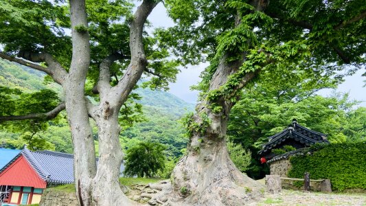 UNESCO World Heritage Site Daeheungsa in Haenam County, Korea