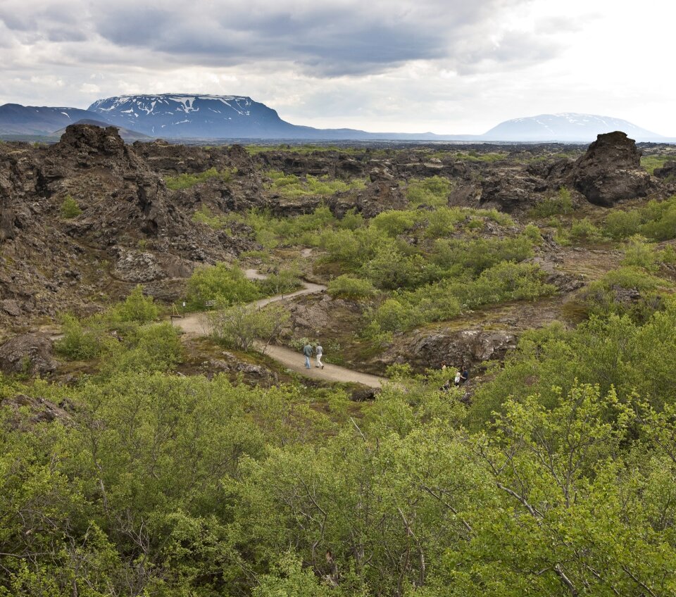 Lava formations at Dimmuborgir near Myvatn in northern Iceland