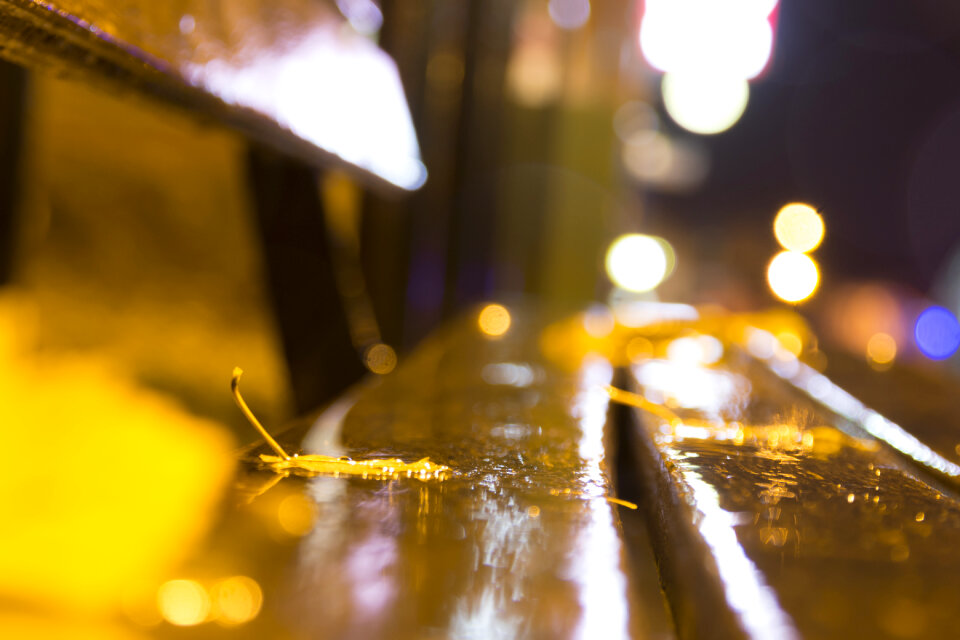 night, autumn bench city, blurred autumn background