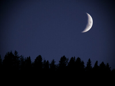 First Quarter Moon at Twilight, over clear blue sky