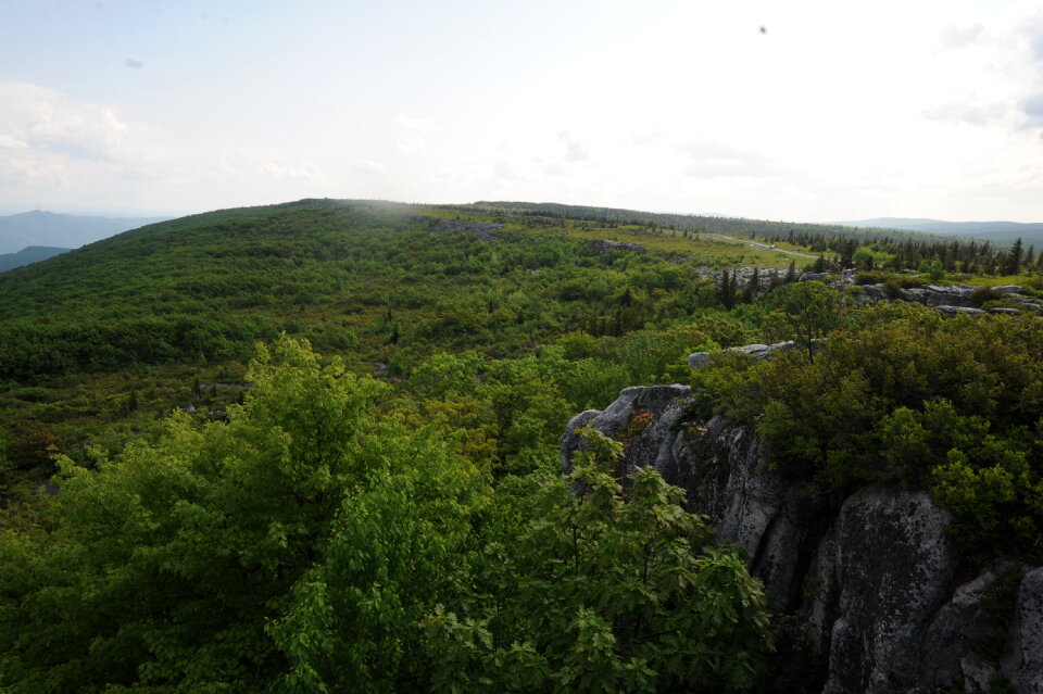 Dolly Sods and Bear Rocks, WV