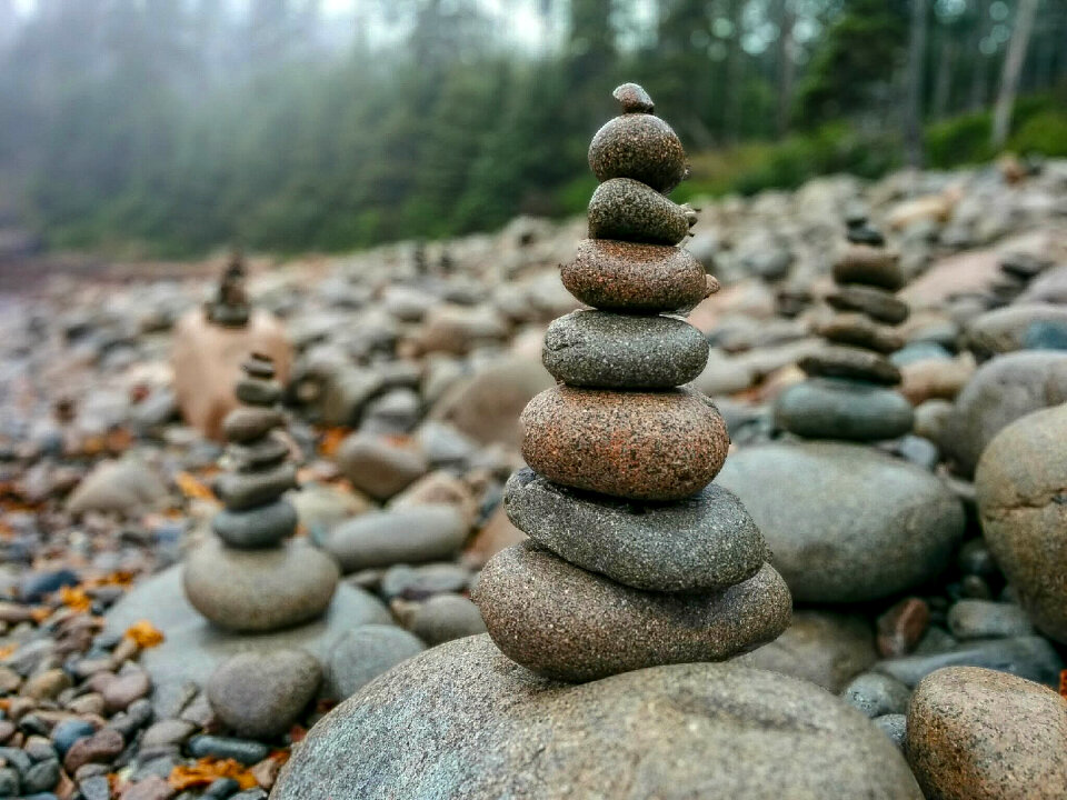 Rocks, Acadia National Park