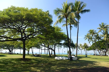 Waikiki Beach and Diamond Head, Honolulu, Oahu Island, Hawaii photo