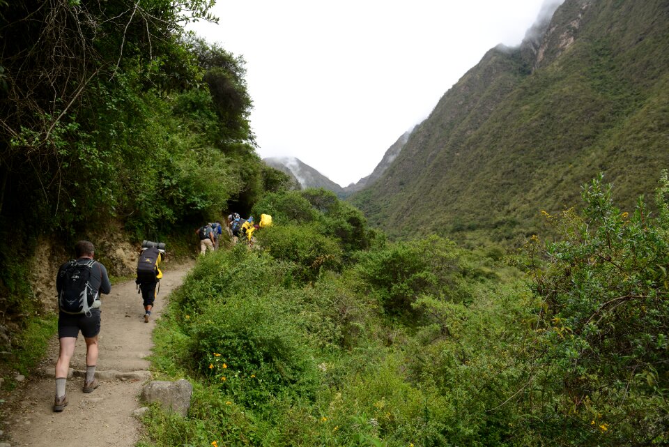 Backpacker walking on Inca Trail to Machu Picchu, Peru photo