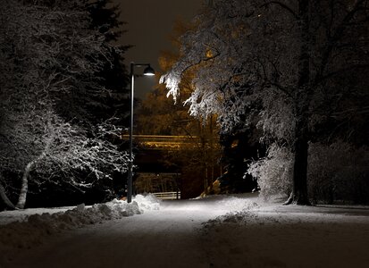 Winter park in the evening covered with snow with a row of lamps photo