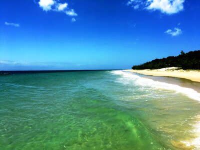 Moreton Bay Island Beauty, QLD Australia photo