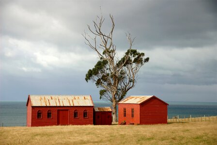 farm buildings New Zealand photo