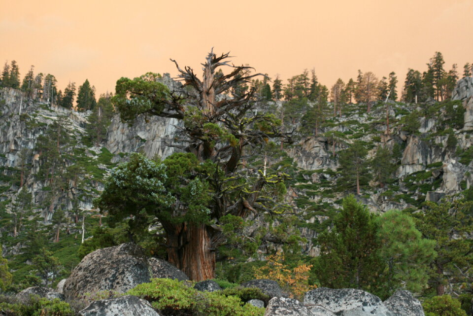 Scenic Tahoe Hiking‎