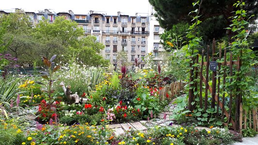 Dramatic forest in Paris, France