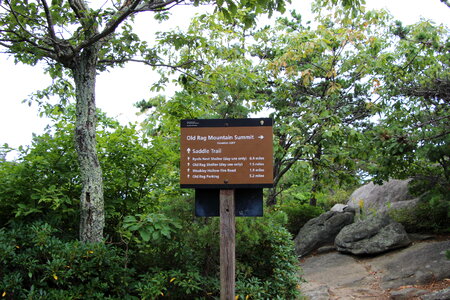 Wooden trail sign in the Shenandoah
