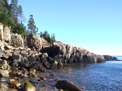 Acadia Seashore Granite and Forest