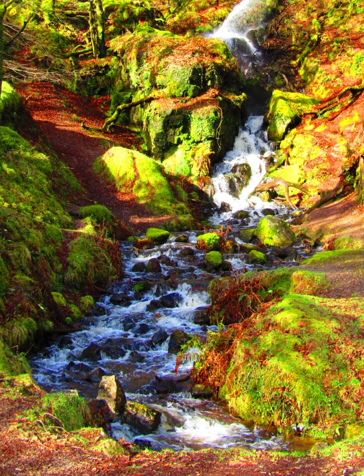Burrator Reservoir, Dartmoor National Park