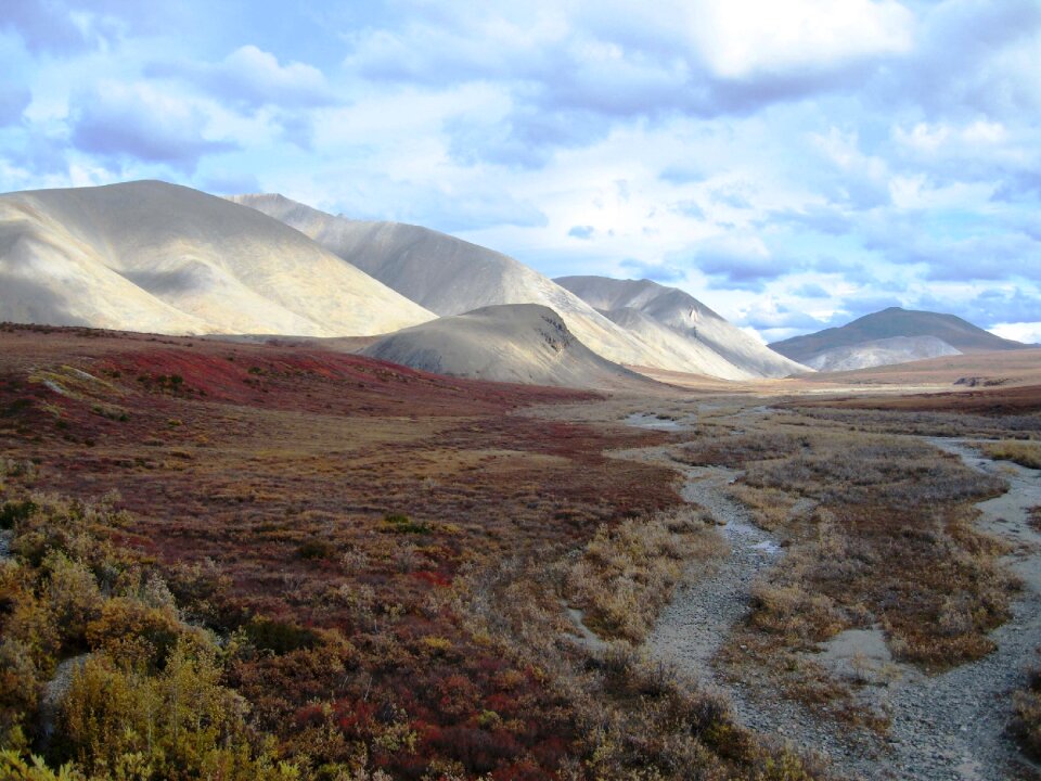 Clear, cool day Kobuk Valley National Park