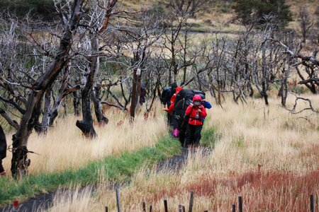 Hiker in Patagonia photo