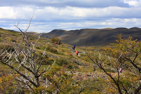 The National Park Torres del Paine, Patagonia, Chile photo