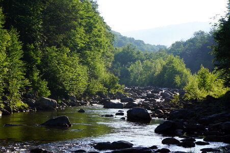 Dolly Sods West Virginia Camping photo