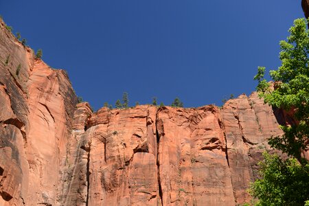 Glowing Sandstone wall, The Narrows, Zion National Park, Utah
