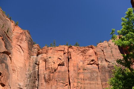 Glowing Sandstone wall, The Narrows, Zion National Park, Utah photo