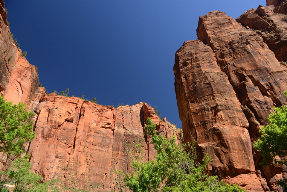Glowing Sandstone wall, The Narrows, Zion National Park, Utah