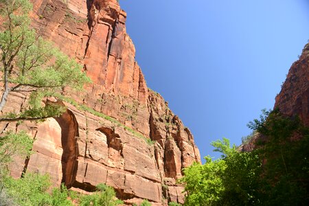 Glowing Sandstone wall, The Narrows, Zion National Park, Utah photo