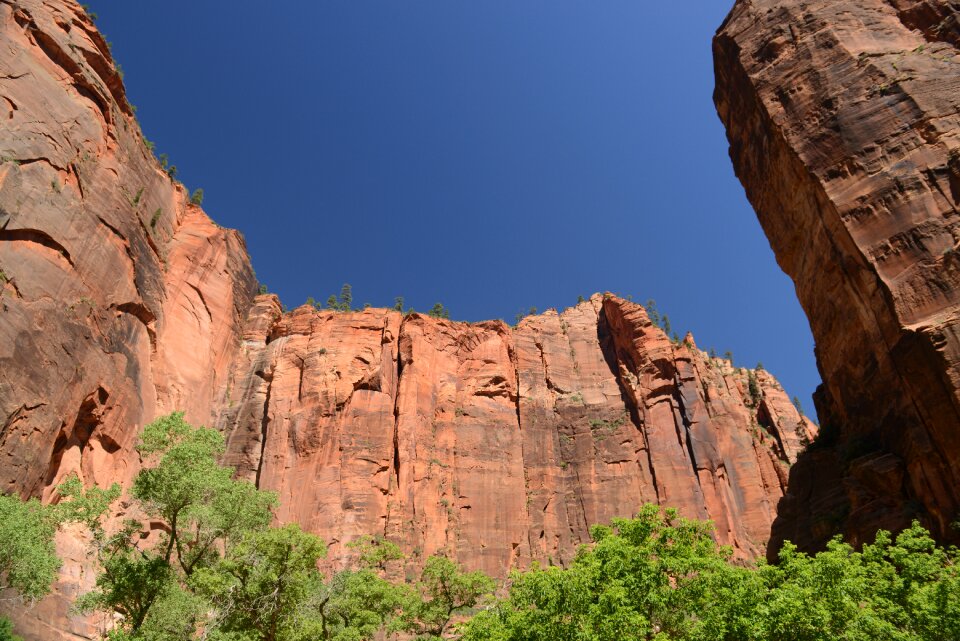 Glowing Sandstone wall, The Narrows, Zion National Park, Utah