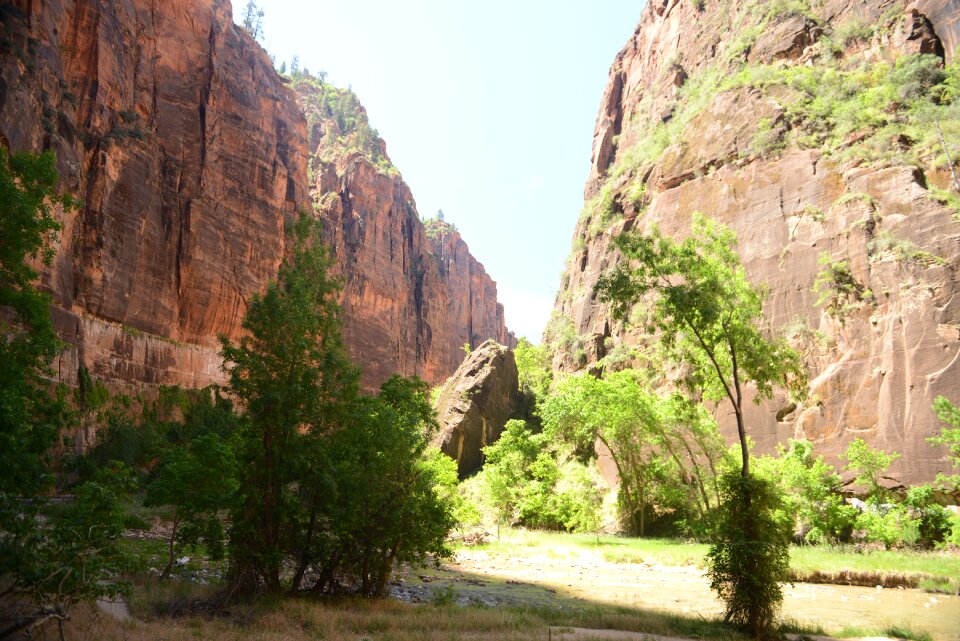 Glowing Sandstone wall, The Narrows, Zion National Park, Utah