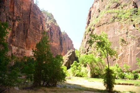 Glowing Sandstone wall, The Narrows, Zion National Park, Utah