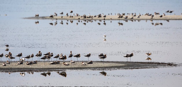 Blanca Wetlands Recreation Area